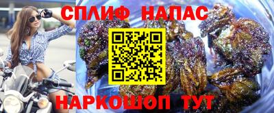 Альфа ПВП Славянск-на-Кубани