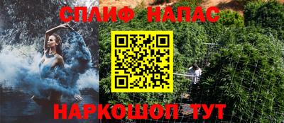 соль ск Сланцы