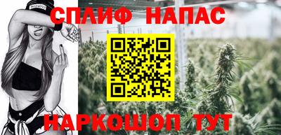 Альфа ПВП Славянск-на-Кубани